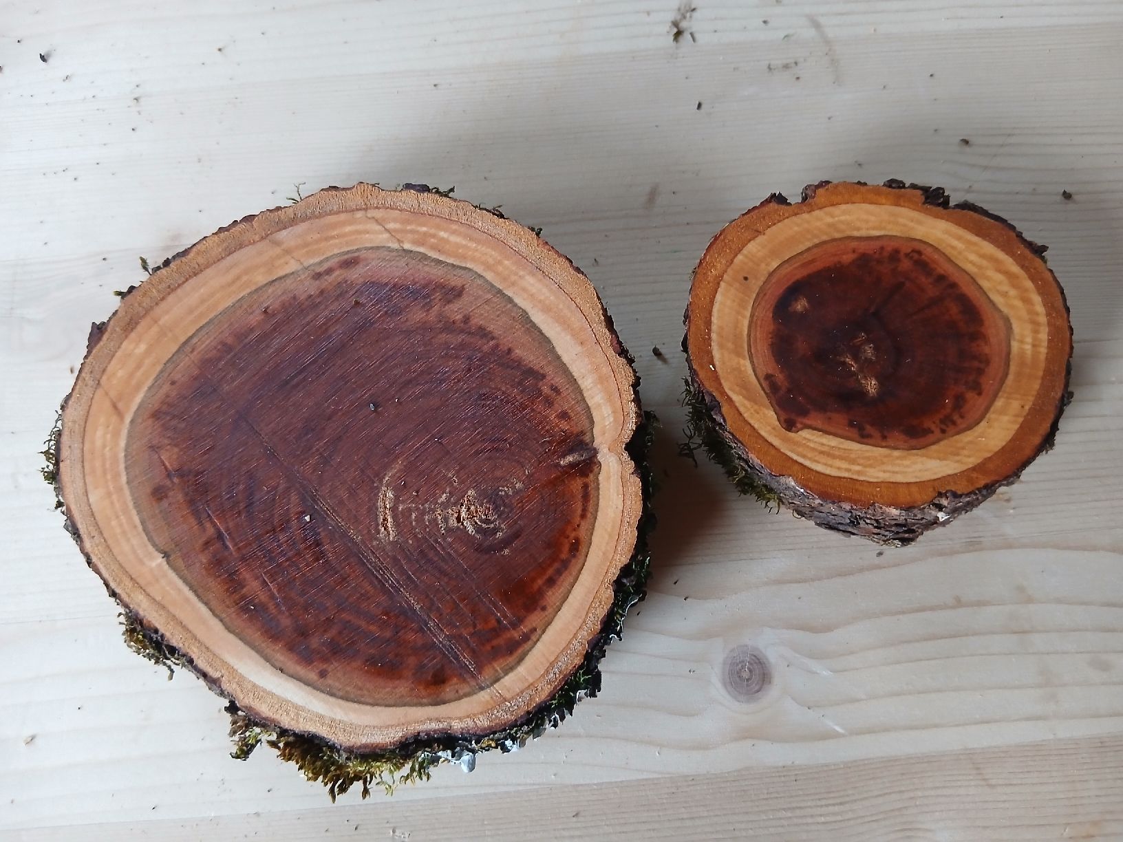 Holzartikel: Zwetschgen Holz Scheiben Epoxy – Neu (gemäss Beschreibung) aus Nesslau von Jakobi01