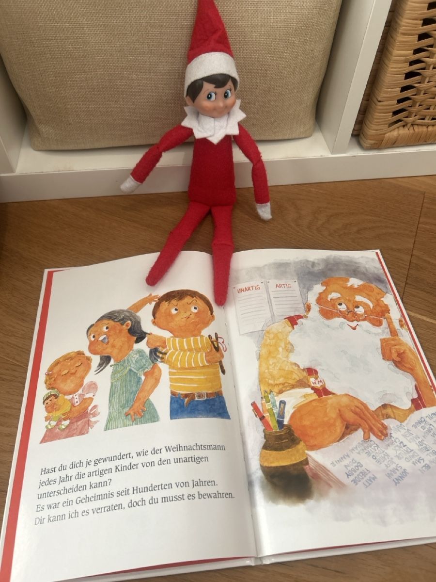 Libri: Elf on the Self – Usato da Matzendorf venduto da Fla5 2