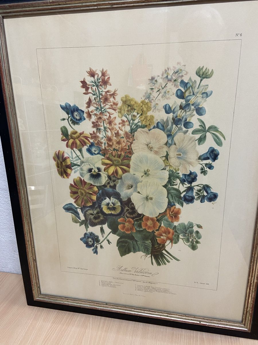 Grafica & Litografie: Vilmorin Lithografien 3 Stk – Usato da Jona venduto da aroosa 4