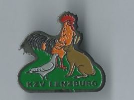 Placchette & Badge: KZV Lenzburg PIN – Usato da Zürich venduto da t24_de