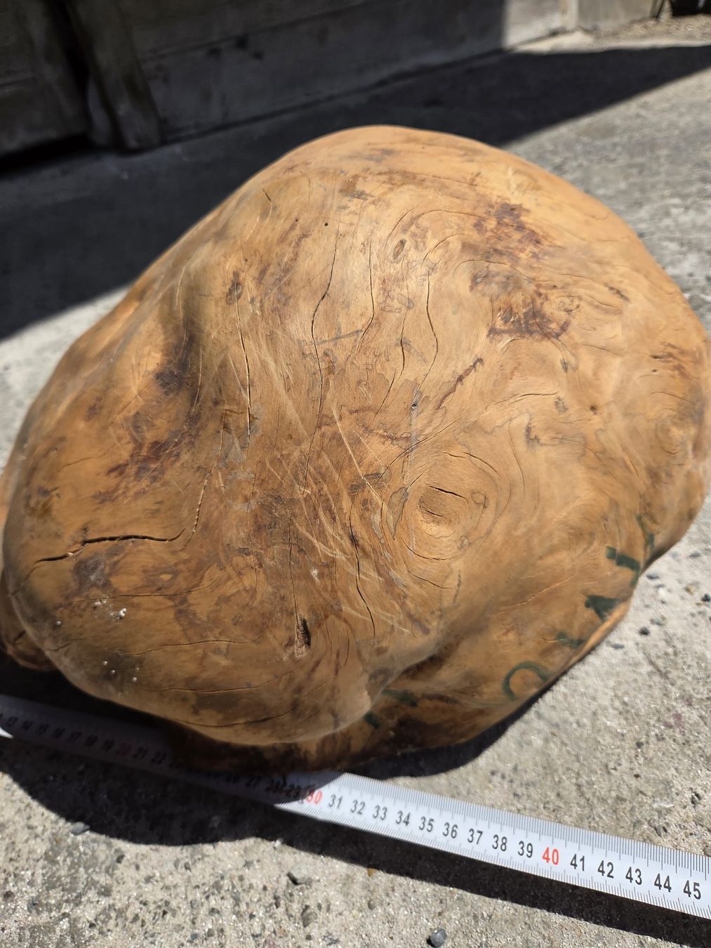 Holzartikel: Olive Holzknolle, Wurzelholz, ca. 40cm Durchmesser – Neu und originalverpackt aus Bottmingen von Mastro-Holzdesign 4