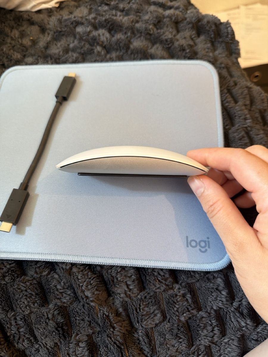 Apple Souris: Apple Magic Mouse 2 und Logi Mauspad USB-C Kabel – Neuf (Voir description) à Zürich par pat_9zks 2