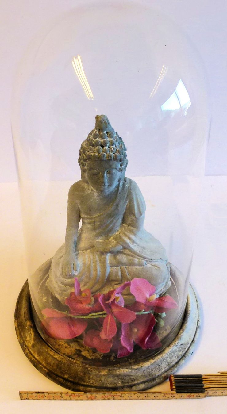 Sculture & Statue: Buddha unter Glas-Kuppel – Usato da Murgenthal venduto da B.StM 1