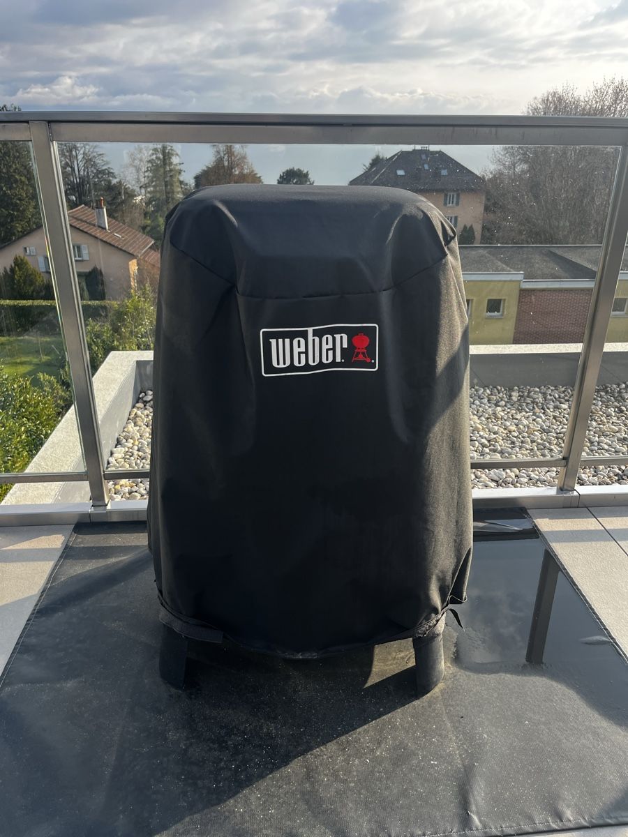 Weber Griglie: Barbecue weber électrique Lumin Compact avec support + acces – Usato da Lausanne venduto da ela_htw9 5