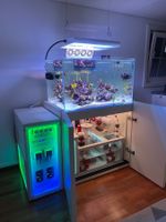 Meerwasseraquarium – Komplettset