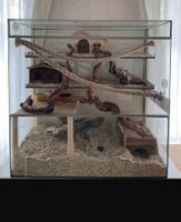 Terrarium aus Glas / Nagerterrarium - 2 Jahre alt (LEER)