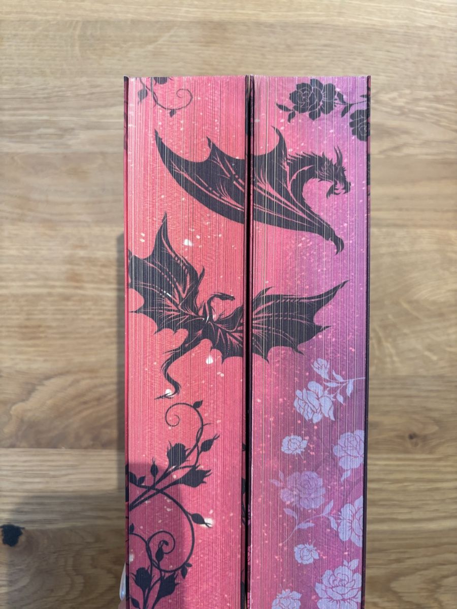 Libri: Fallen Fae Gods 1 & 2 – Nuovo (secondo la descrizione) da Sutz venduto da charis1411 2