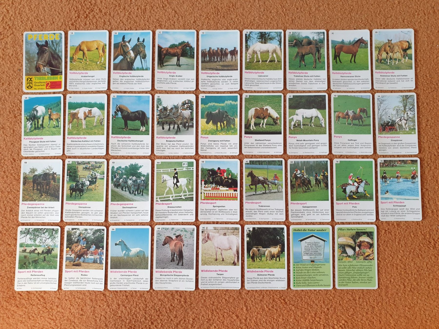 Spiele: PFERDE TIERLEBEN 6 Grossbild Quartett – Gebraucht aus Mörschwil von spirspi 2