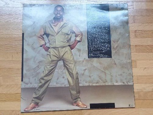 Dischi in vinile: Vinyl Langspielplatte Philip Bailey – Usato da Bottighofen venduto da Miatax5 1