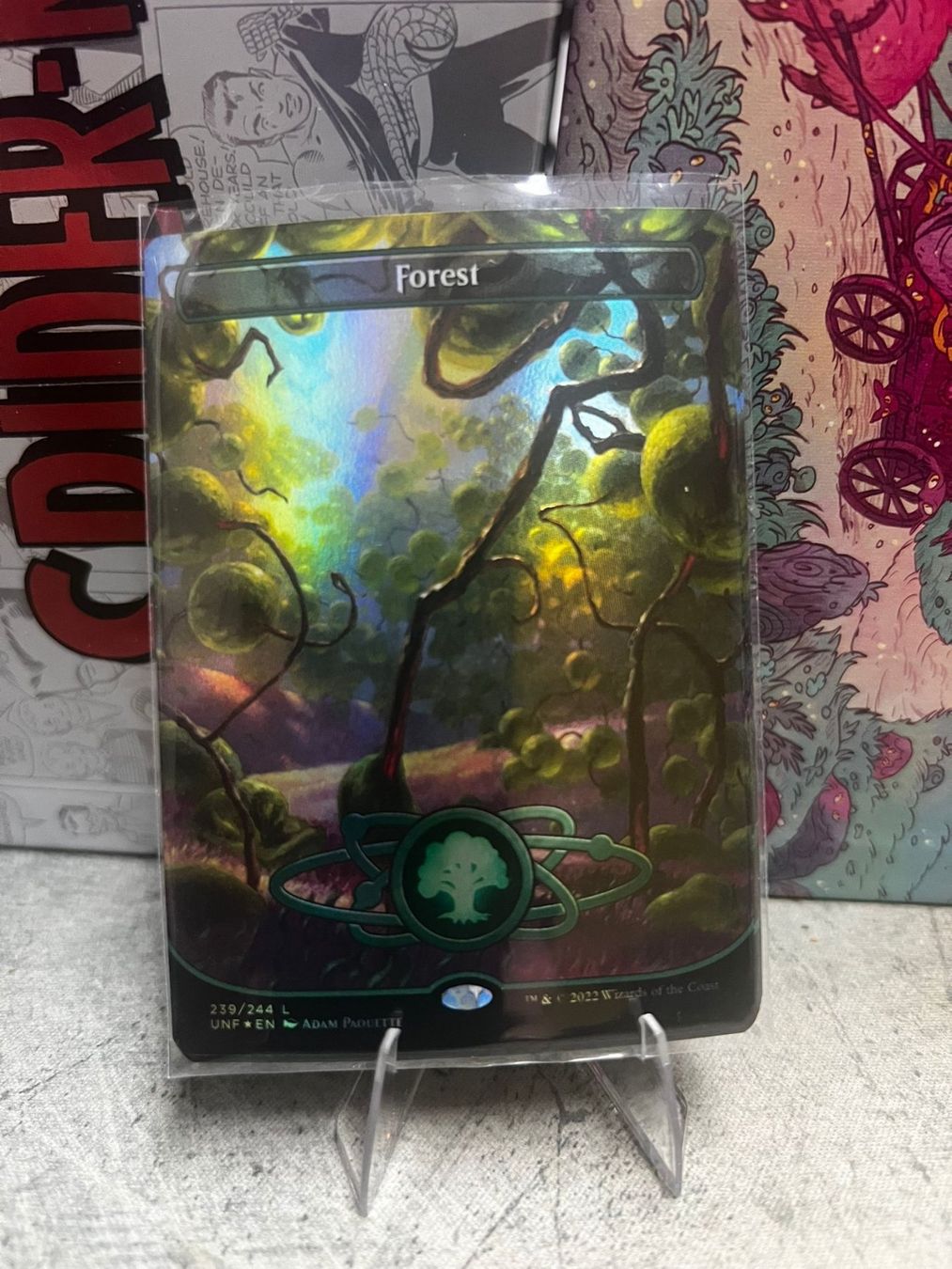 Magic The Gathering Sammelbilder & Trading cards: Forest Foil – Neu (gemäss Beschreibung) aus Wilen b. Wollerau von GarruksShop