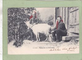 Paysannes de Champéry Ziege 1903