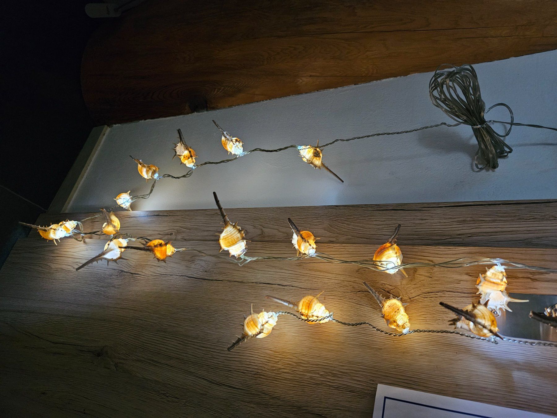 Ghirlande e barre luminose: Muschel Lichterkette, Sommer Deko – Nuovo (secondo la descrizione) da Maseltrangen venduto da Chrusli7 4