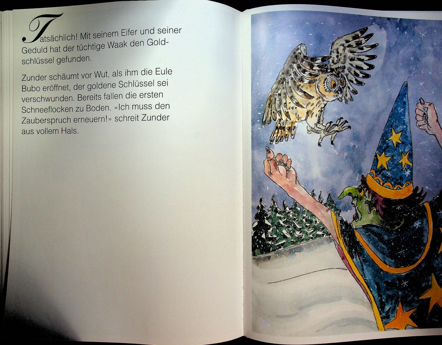 Bücher: Walter Bühler Schneekönig Flock / RAR – Gebraucht aus Reitnau von Zaomir 8
