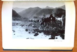 La transhumance, du Pays d’Arles aux Grandes Alpes