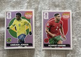 2 Panini Extra Sticker