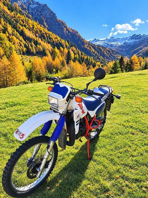 Enduro: Honda MTX 125 – Usato da Olivone venduto da Bietto82