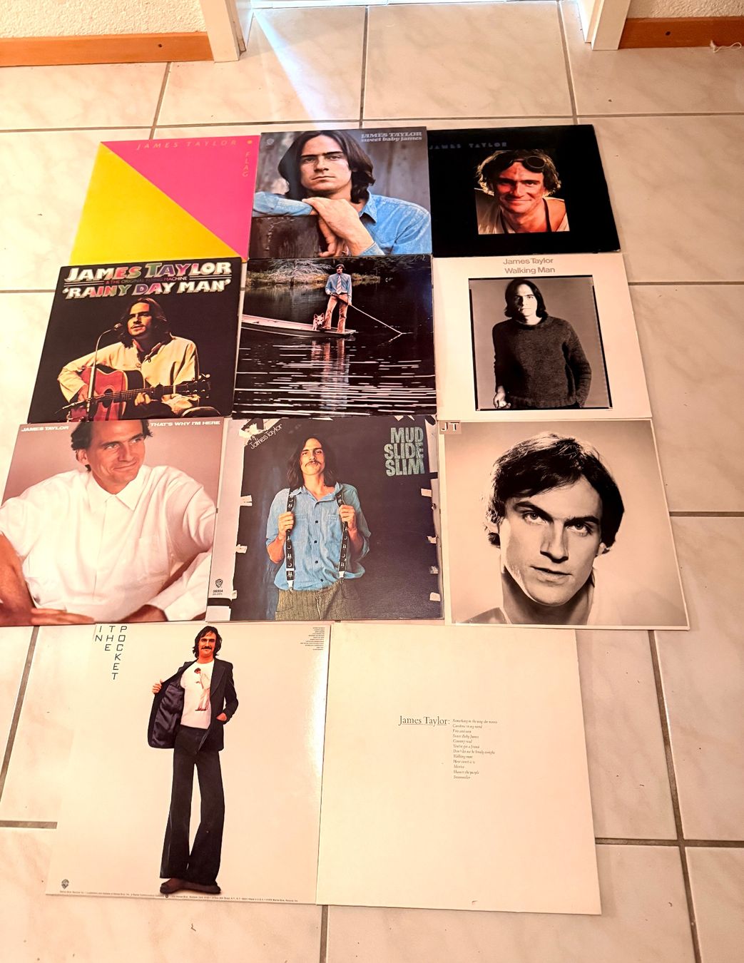 Dischi in vinile: Tolle Plattensammlung James Taylor – Usato da Zofingen venduto da rai_x9b8
