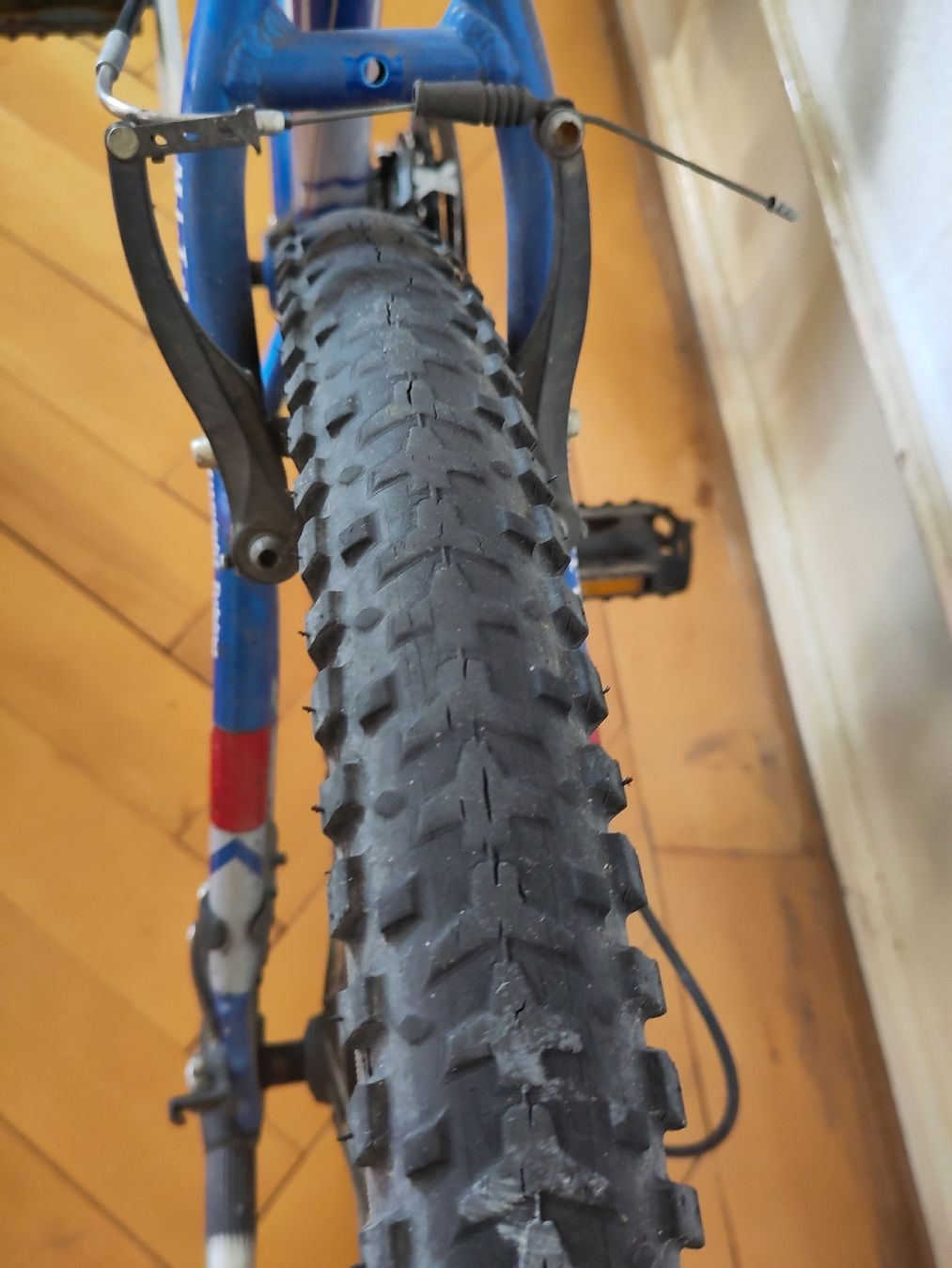 Wheeler Velos: Wheeler Velo 40pro – Gebraucht aus Winterthur von tab_ybs5 2