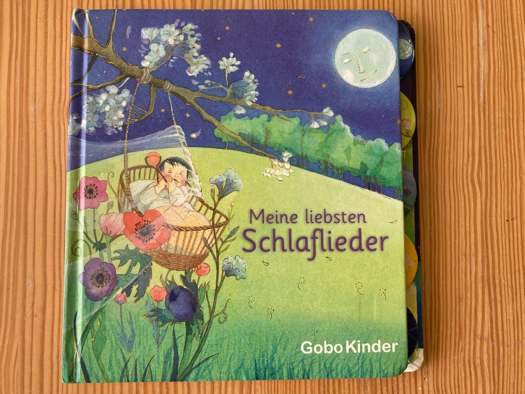 Libri: Meine liebsten Schlaflieder – Usato da Baden venduto da Yoyo1