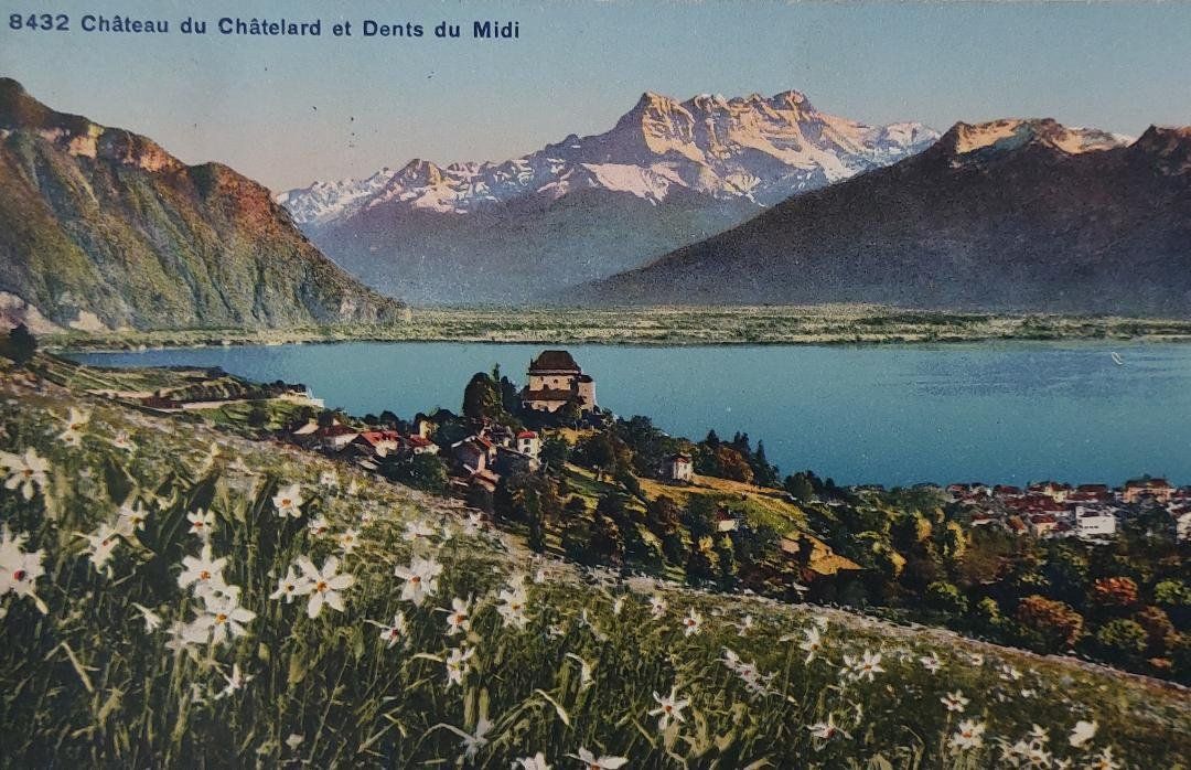 Ansichtskarten: CHÂTELARD - Le Château & Dents du Midi - 1929 – Gebraucht aus Delémont von Domdom1