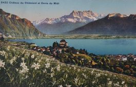 CHÂTELARD - Le Château & Dents du Midi - 1929