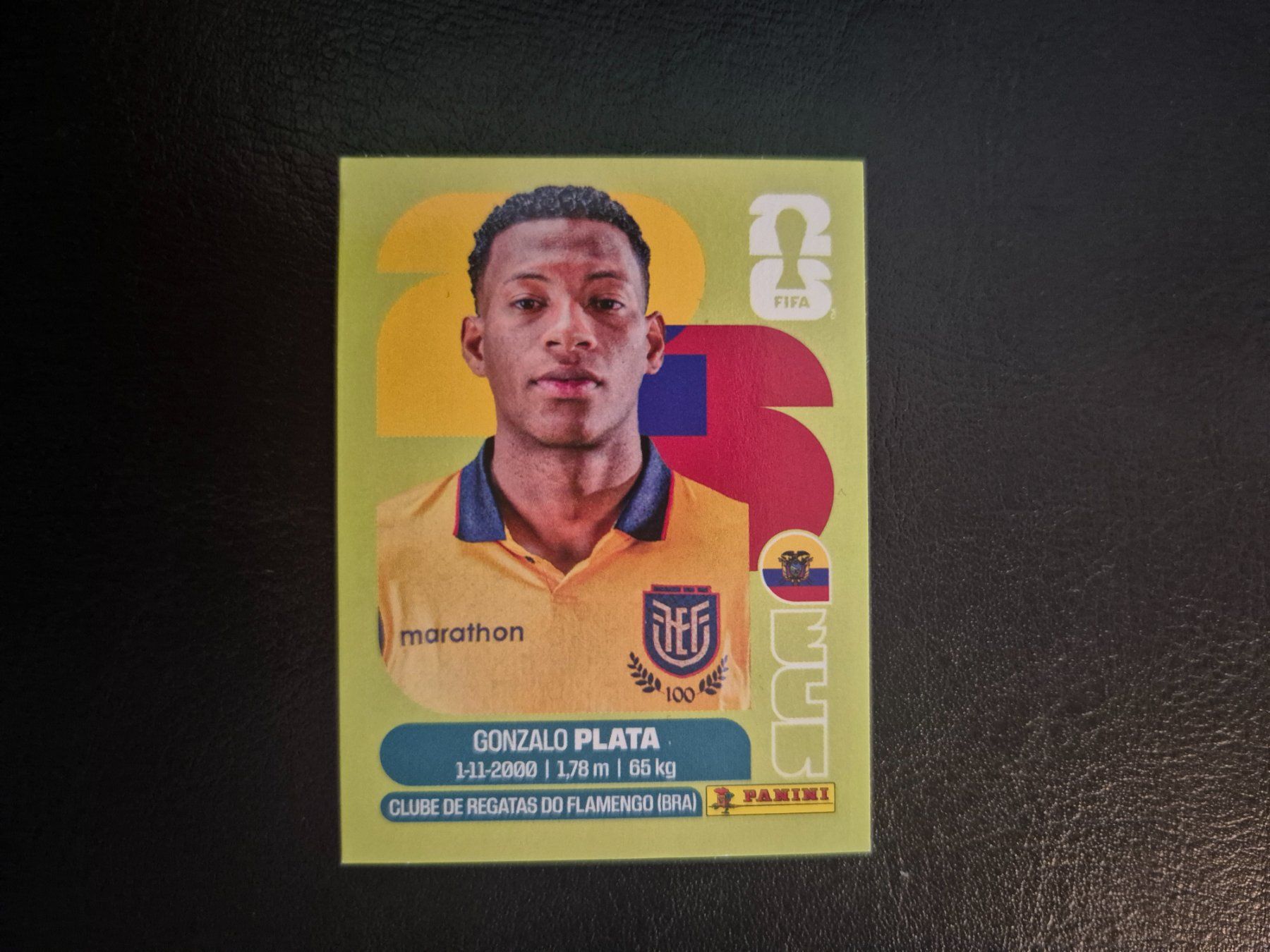 Panini Cartes à collectionner: Panini WM 26 ECU 16 – Neuf (Voir description) à Rorschacherberg par AJ3108