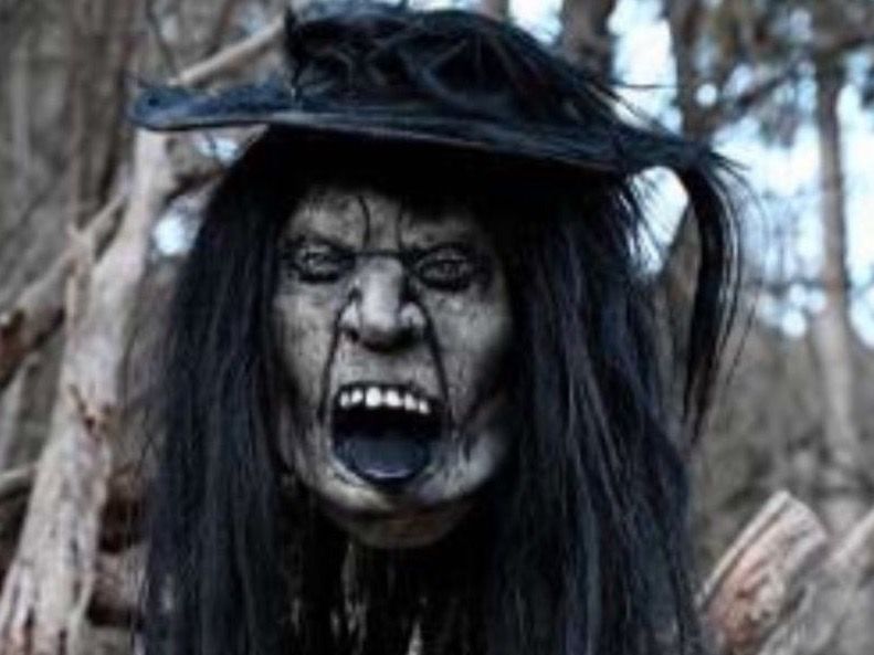  Foto zu Holz-Masken, Grind, Larven, Krampusmaske (Gebraucht) in Emmen für CHF 