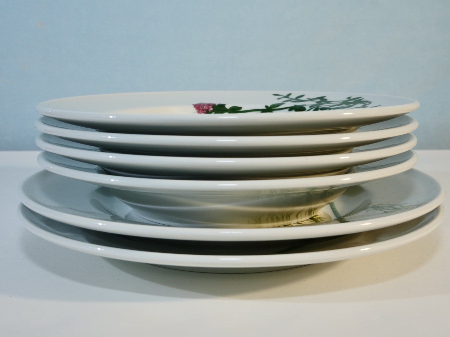 Dibbern Piatti: Dibbern Schösswald Teller Set, Kräuter Design, Top – Usato da Lustmühle venduto da Glatisant 9