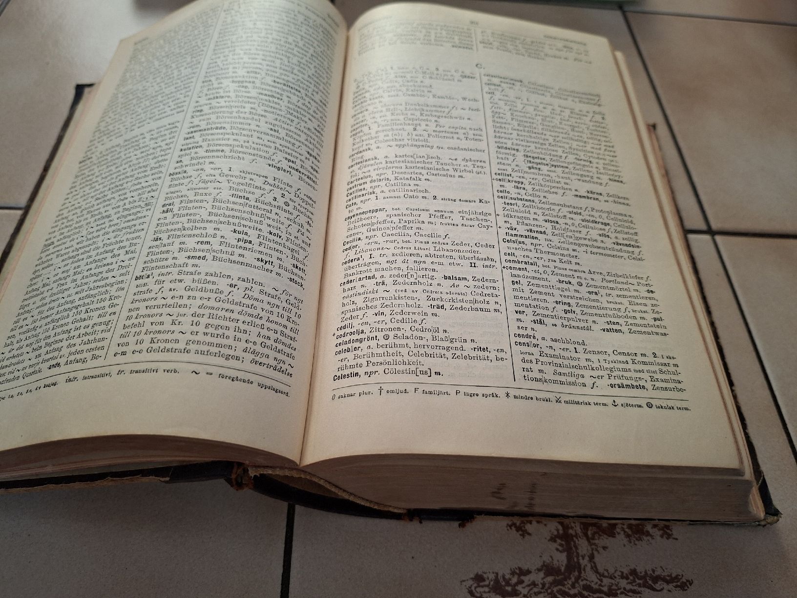 Bücher: Wörterbuch Schwedisch - Deutsch 1922 – Gebraucht aus Meierskappel von rigihans 4
