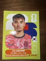 Panini Fifa KOR 15