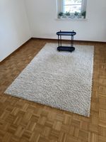 Teppich hochflor Grösse 160x230cm & kleiner Absteller