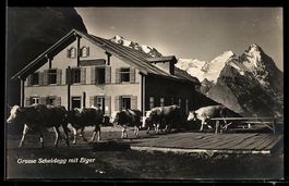 Grosse Schneidegg, Hotel mit Bergpanoram