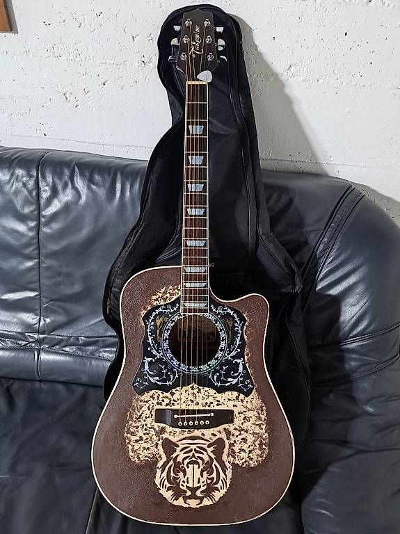 Musikinstrumente: Westerngitarre Original Takamine Profigitarre – Gebraucht aus Laufenburg von agi_7dfm 1