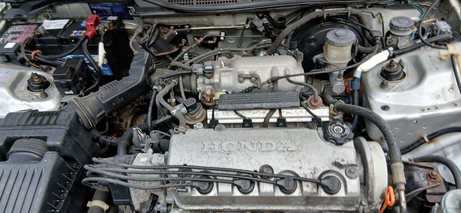 Honda Automobili: Honda Civic 1.5i VTEC – Usato da Thun venduto da zuio 3