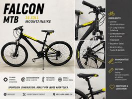Wheeler Falcon 42