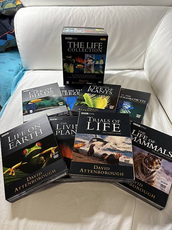 Alle DVDs: DVD - The Life collection - BBC – Gebraucht aus Massagno von anickc 1