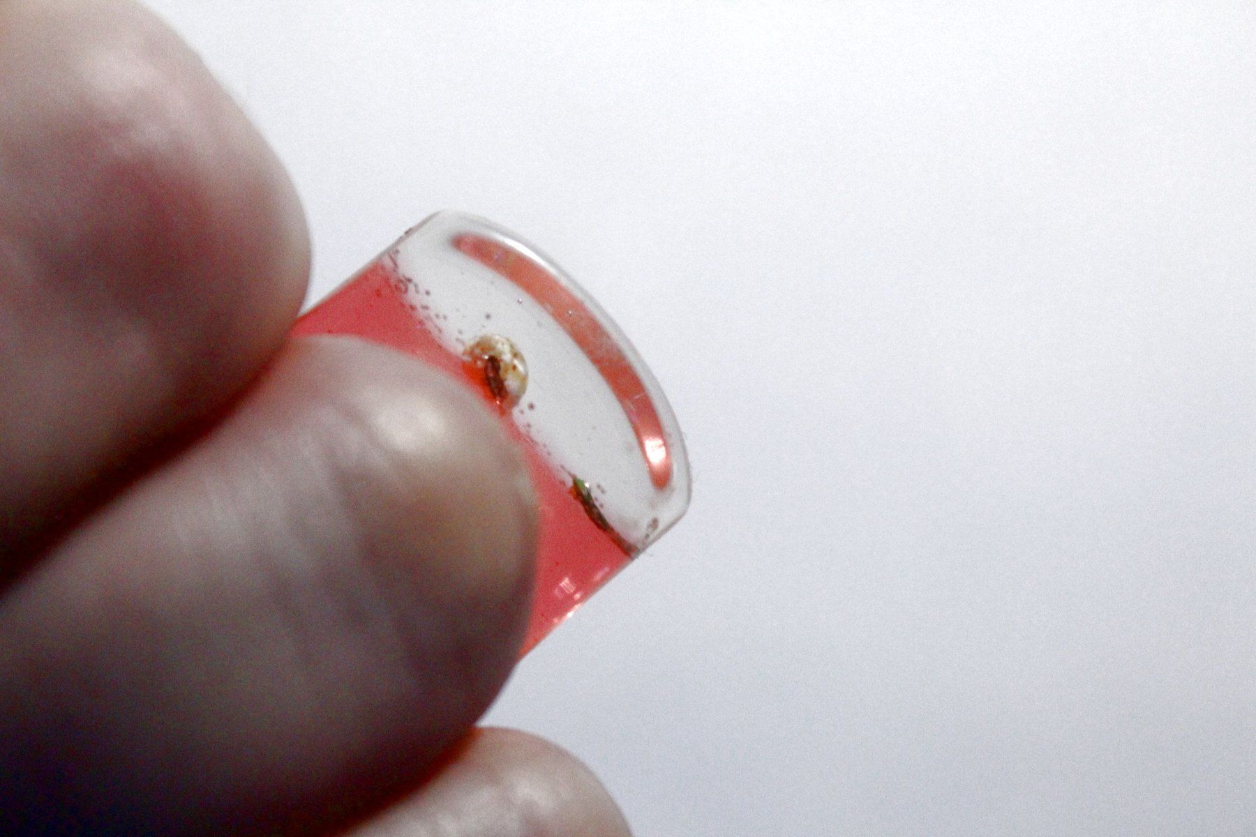 Anelli: Vintage Space-Age - Ring mit Muschel, Seestern, Seeigel, usw – Nuovo (secondo la descrizione) da Bern venduto da Vitaneuf 3