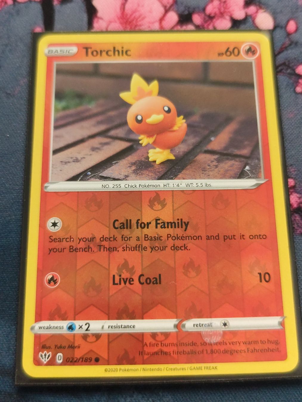 Pokémon Carte collezionabili: Pokemon Torchic Darkness Ablaze EN – Nuovo (secondo la descrizione) da Schlossrued venduto da LAP2012