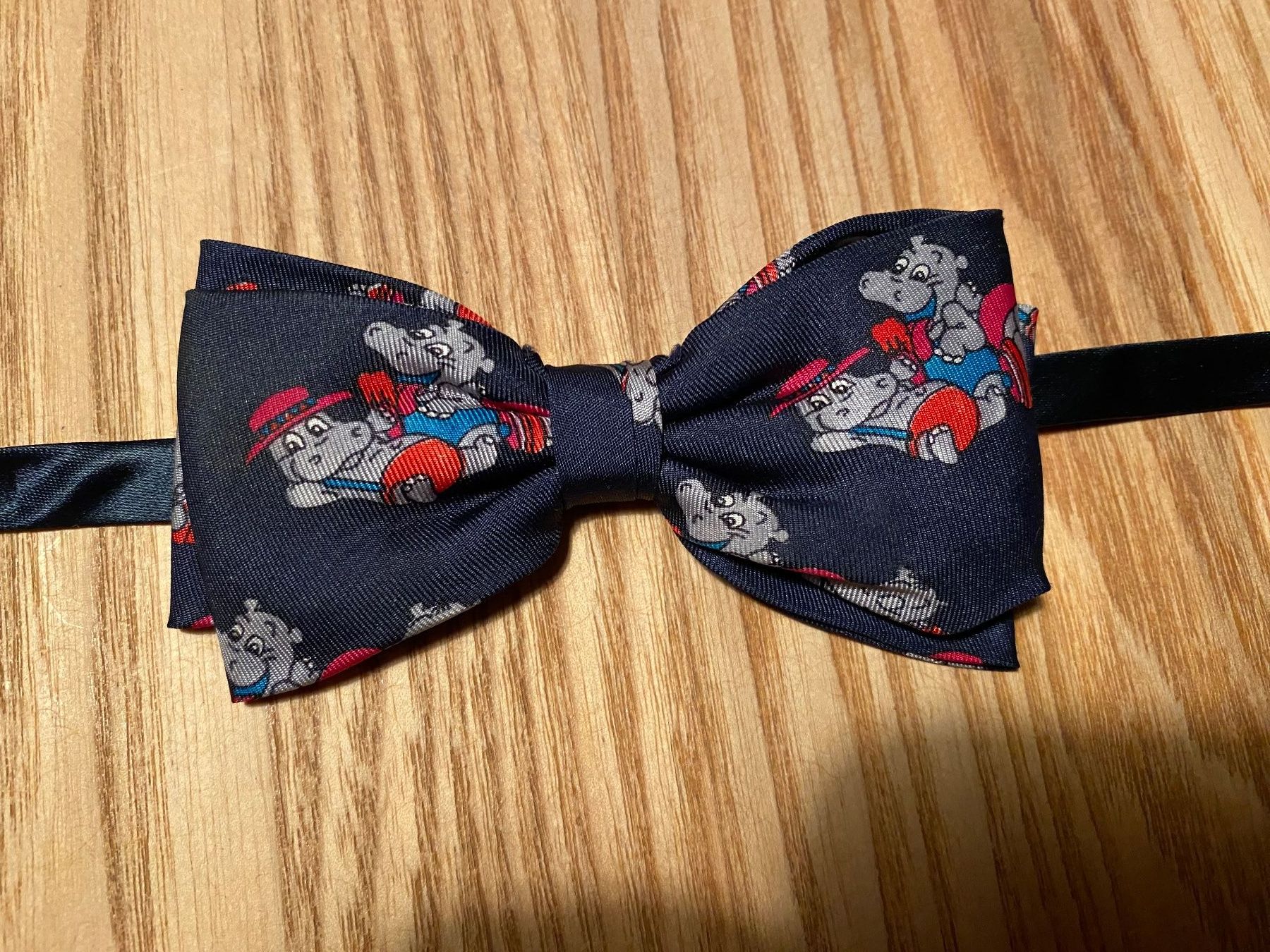 Lotti & Set di vestiti: 2er Set Kinder Fliege mit Motiven Teddy und Hippo – Usato da Rüschlikon venduto da Emma01 2
