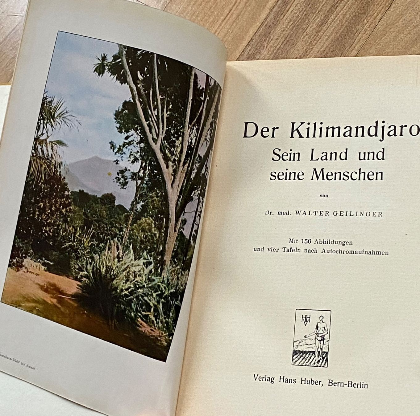 Libri: DER KILIMANJARO Dr. W. Seilinger – Usato da Zürich venduto da Camerountiger 2