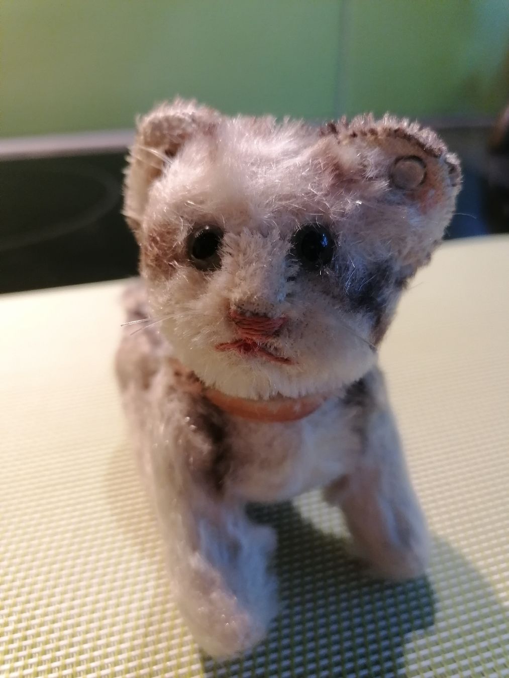 Steiff Giocattoli: Steiff katze Kitty – Usato da Biberist venduto da troedlerheinz