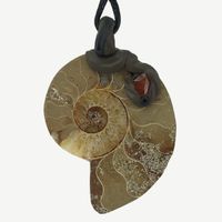 Ammonit Fossil Anhänger mit Lobenlinien und zusätzl. Karneol