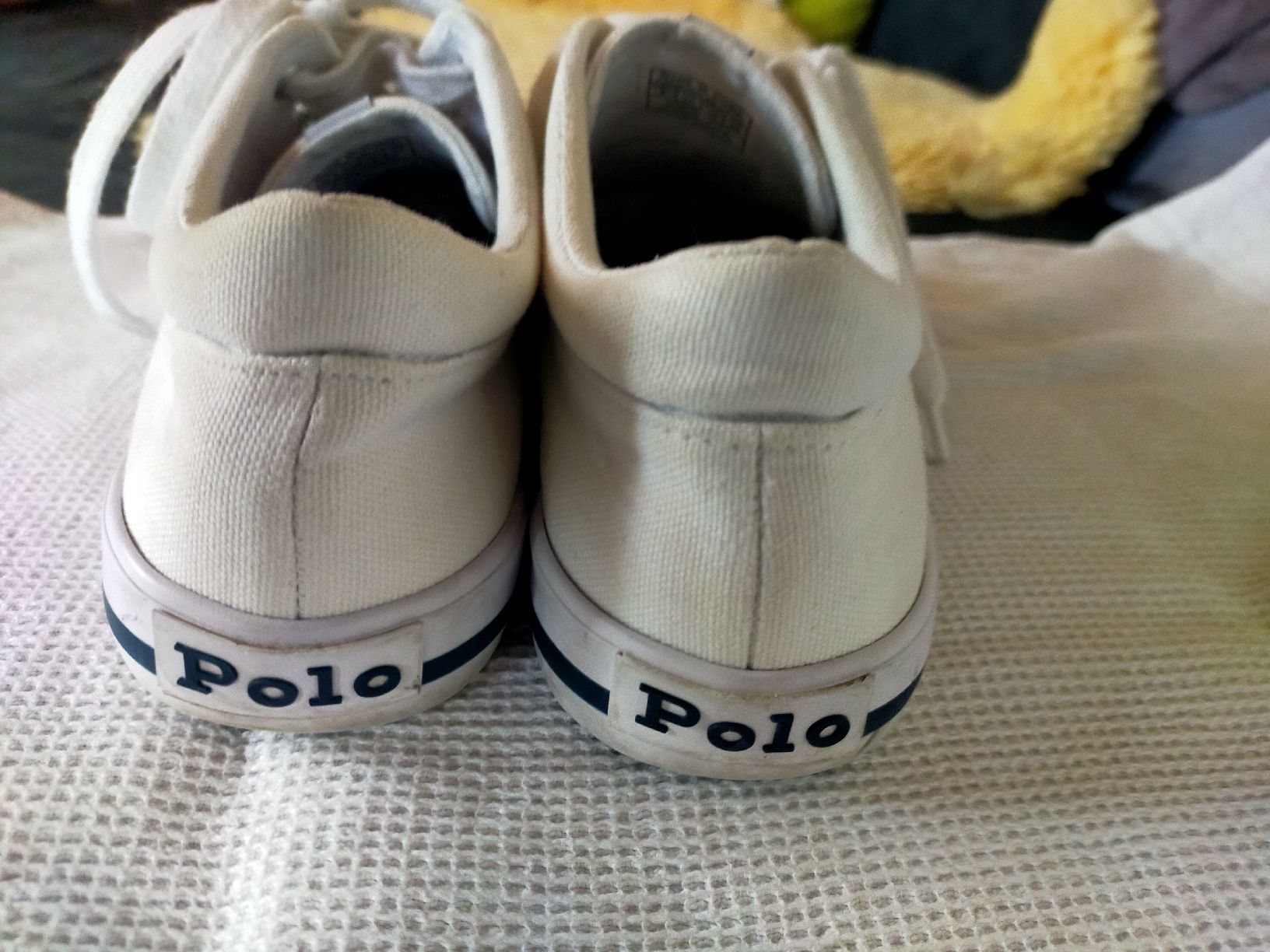 Ralph Lauren Herrenschuhe: Ralph Lauren Polo Canvas Sneaker Gr.39 – Gebraucht aus Oberhofen TG von tryxta 1