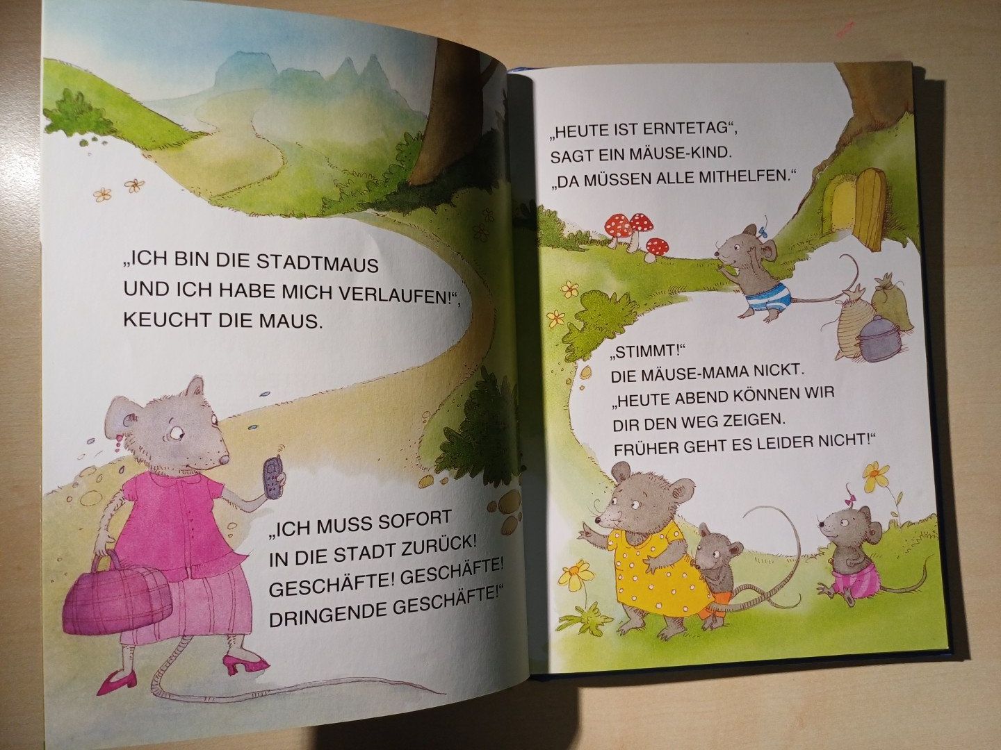 Libri: LeseTieger - Waldgeschichten – Usato da Egliswil venduto da Cracky81 2