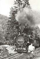 BR 99 Dampflok ex.DR d.Weisseritz-Talbahn n.Kipsdorf, sw-AK