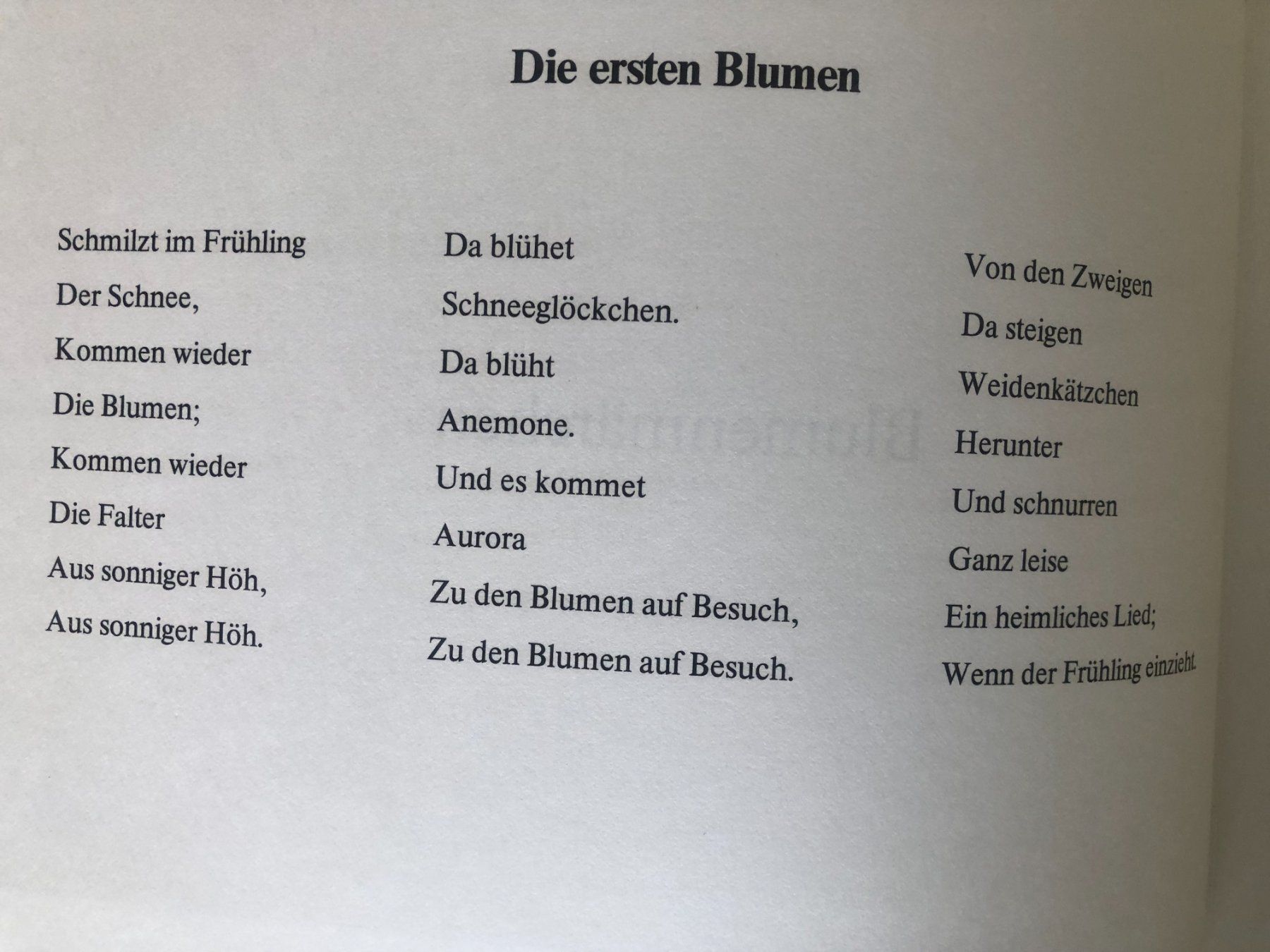 Libri: Blumen-Märchen von Ernst Kreidolf – Usato da Bassersdorf venduto da sammelfloh 3