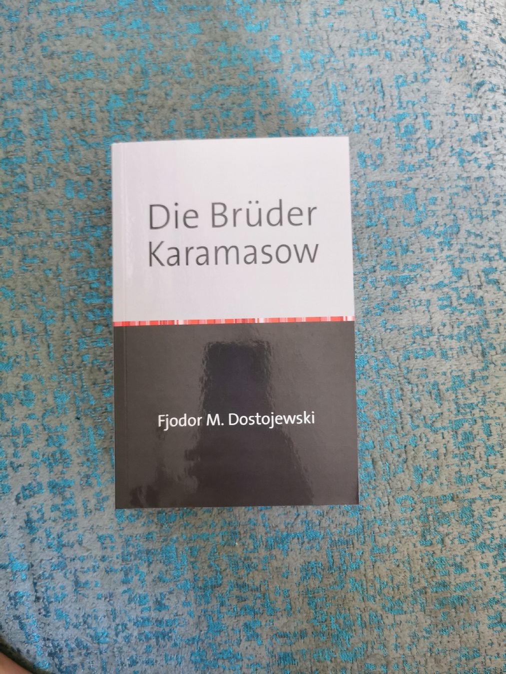 Libri: Die Brüder Karamasow – Nuovo e nell'imballaggio originale da Bern venduto da cam_b7ts