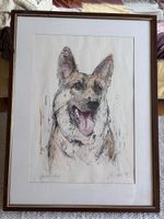 Gemälde Deutscher Schäferhund signiert & datiert 1975 47x33c
