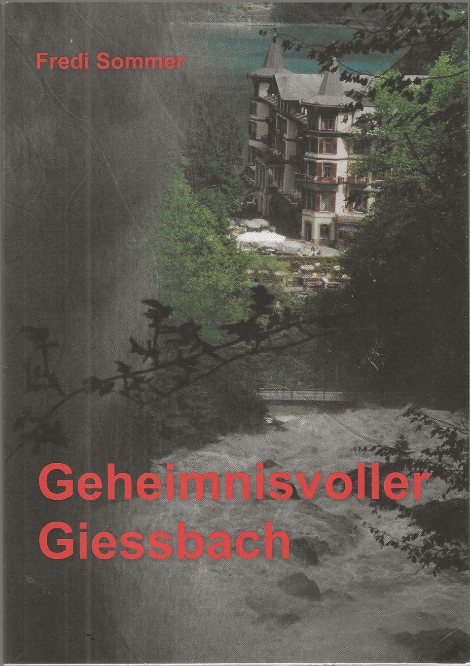 Libri: Geheimnisvoller Giessbach – Usato da Bern venduto da Grindelwaldaus
