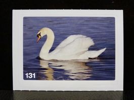 MIGROS MANIA Nature Detectives Nr. 131